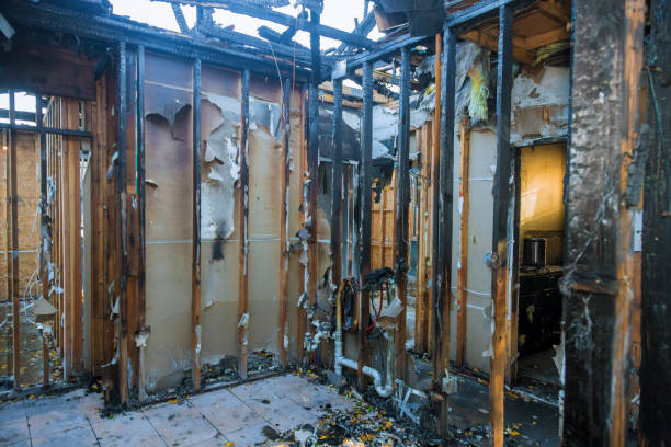 Professional Smoke Damage Removal technician working in Franklin Park, FL
