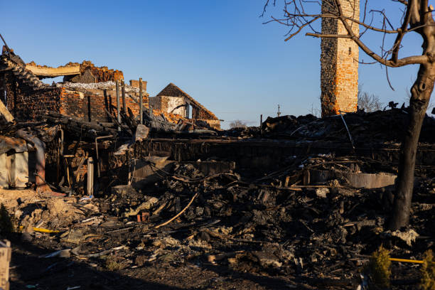 Reliable Smoke Damage Removal contractor in Franklin Park, FL by Fire Damage Doption