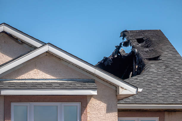 Top rated local Smoke Damage Removal specialists in Franklin Park, FL